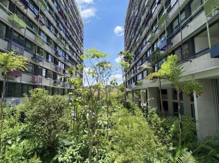 Jardim no Floresta IdeaZarvos na VIla Ipojuca