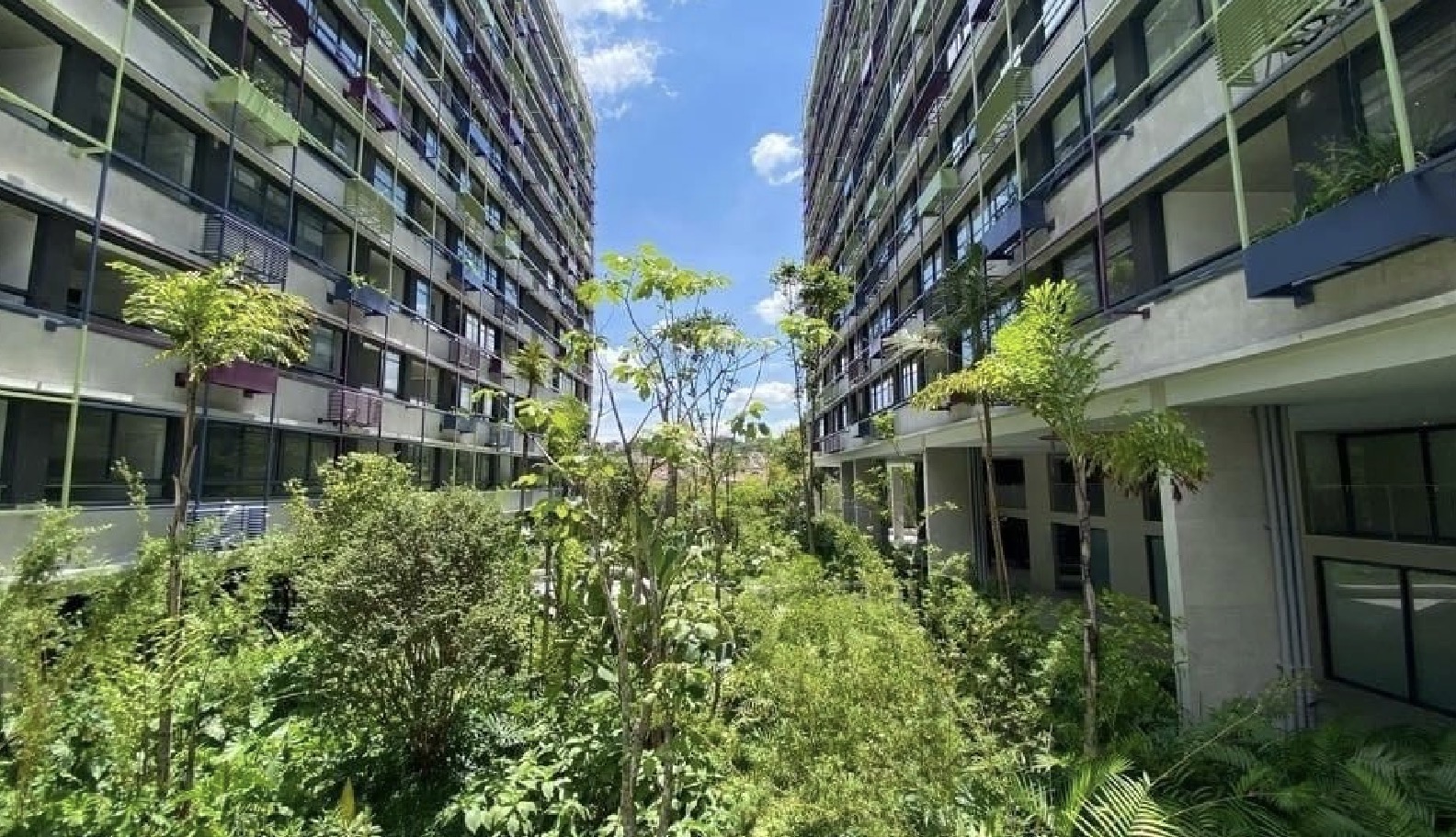 Jardim no Floresta IdeaZarvos na VIla Ipojuca