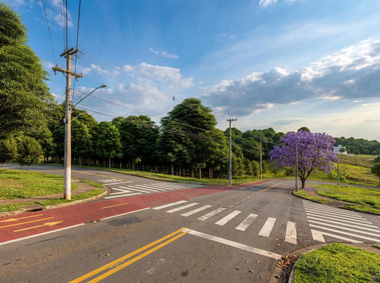 Rua do Reserva Aruã Scopel cercado de área verde no Aruã Mogi das Cruzes SP
